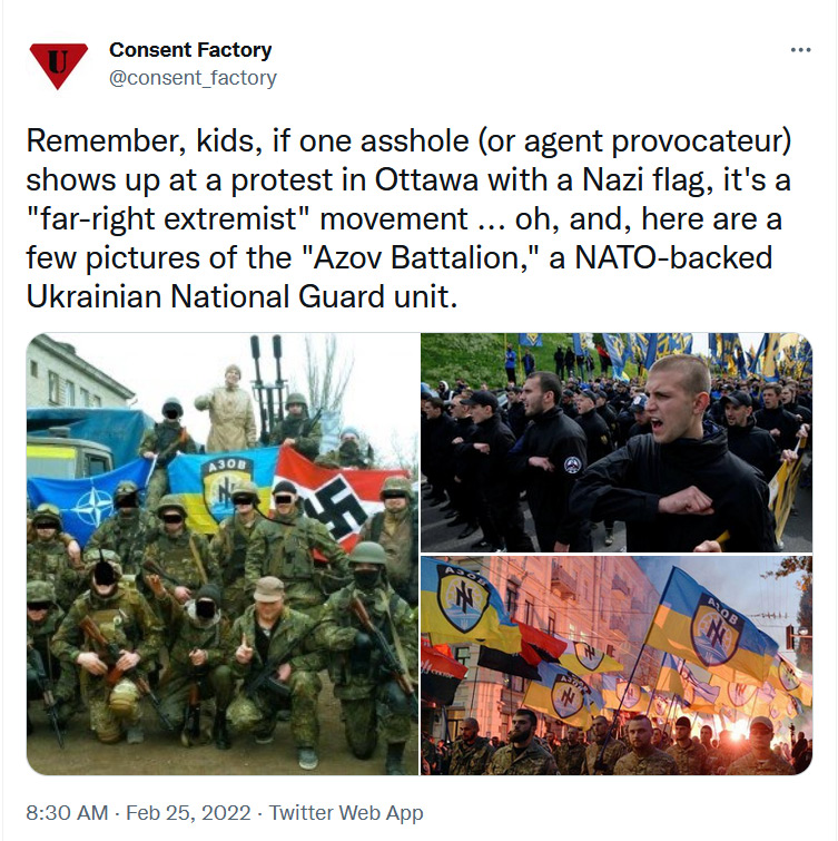 Ukraine Nazis